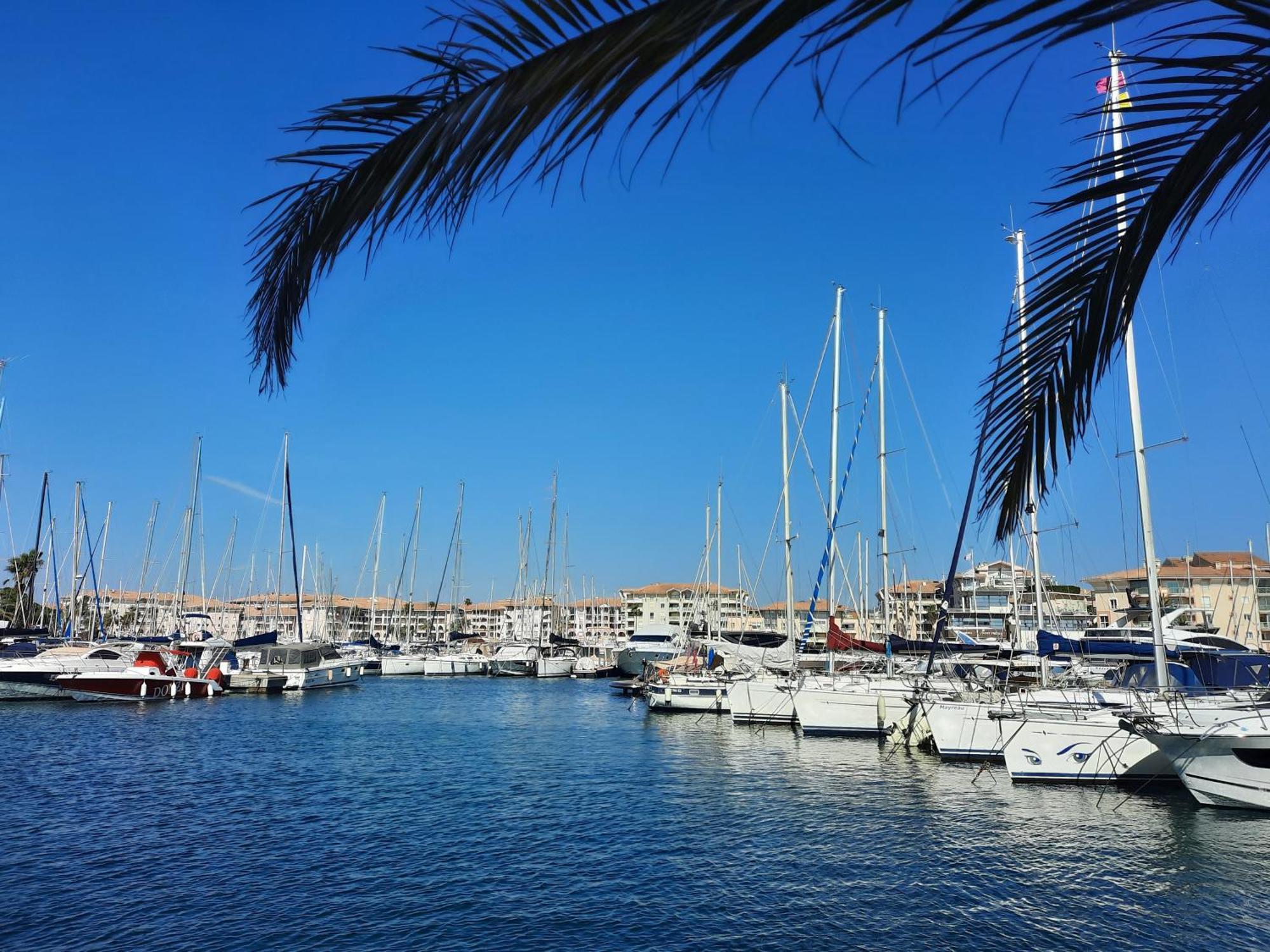 Ferienwohnung Coeur Marina Climatise Terrasse Parking Fréjus Exterior foto